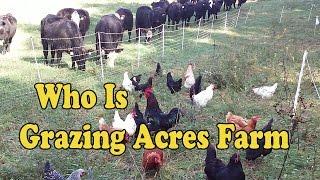 What's Happening At Grazing Acres Farm