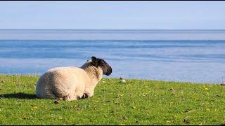 Isle of Tiree 15/20-08-2023