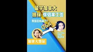 【加拿大签证】在加拿大上学，怎么担保伴侣拿工签？#加拿大签证