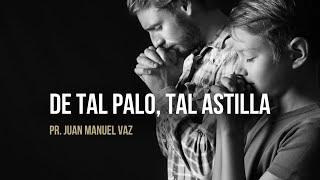 De tal palo, tal astilla - Juan Manuel Vaz