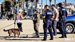 CRACKDOWN ON DOG VIOLATIONS: Animal Control, with LAPD Support, Issues Citations at Venice Beach