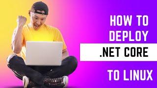 How to deploy .NET Core to Linux with Plesk and Vultr