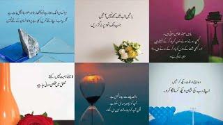 Urdu Quotes Life Changing | Best Urdu Poetry | Aqwal E Zareen