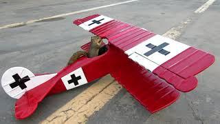 Squirrel Steals Warplane