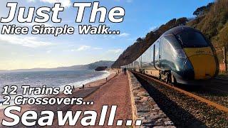 Sunny Seawall Walk: Trains, Crossovers & Friendly Faces – 12/11/24