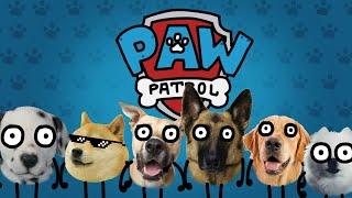 Flea Patrol (A parody of Paw Patrol)