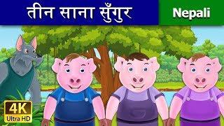 तीन साना सुँगुर | Three Little Pigs in Nepali | Nepali Story | Nepali Fairy Tales