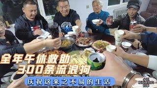 大院建设一周年，全年无休救助300条流浪狗，庆祝这来之不易的生活  Dog rescue in China  20211115