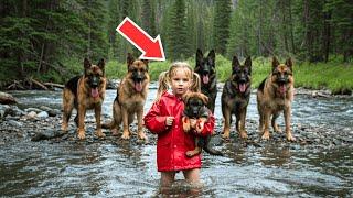 After Saving A Puppy, Little Girl Is Surrounded By The Dogs — And What They Do Is Shocking!