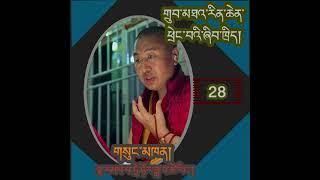 P.28/89 གྲུབ་མཐའ་རིན་ཆེན་ཕྲེང་བའི་ཞིབ་ཁྲིད།/The Precious Garland of Tenets / ཏྲེ་ཧོར་ཟླ་བ་ཚེ་རིང་།