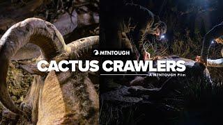 Cactus Crawlers | Free Range Aoudad Sheep Hunt In Mexico