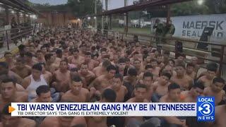 TBI says Venezuelan gang operating in Chattanooga; local law enforcement denies