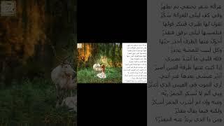 تميم البرغوثي : أُحَوِّلُ عنها الطرفَ أحذر حبَّها * وكل لبيب للمحبة يحذرُ