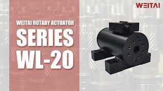 Pressure Testing of WEITAI WL20-16 Rotary Actuator