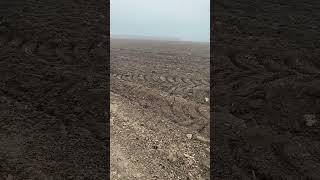 Сама багата країна Європи. Незалежна Україна 