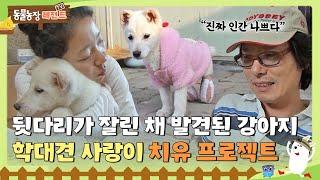 [TV 동물농장 레전드] “진짜 인간 나쁘다”뒷다리 두 개와 귀·꼬리까지 잘린 강아지, ‘사랑이’의 상처 치유 프로젝트! #TV동물농장 #AnimalFarm #SBSstory