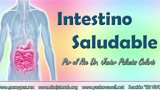 ¿Cómo tener un intestino saludable? por el Roeh Dr. Javier Palacios Celorio - Kehila Gozo y Paz