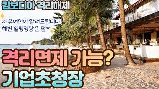 자유여신 직영 DT ep.06 캄보디아 격리면제가 가능하다고? 캄보디아 격리정책 완화 소식부터 해변 영상까지 지금바로 확인하세요