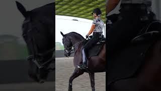 Peter and Pamela Bice indoor dressage arena