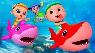 Baby Shark Dance +Compilation | Kids Songs and Nursery Rhymes | Baby SumoCoco