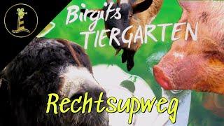 Birgits Tierpark & Streichelzoo Rechtsupweg