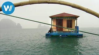 Die schwimmenden Dörfer der Ha Long Bucht (360° - GEO Reportage)