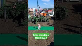 Краевой День Поля 2023 #claas #amazone #dominator #stara