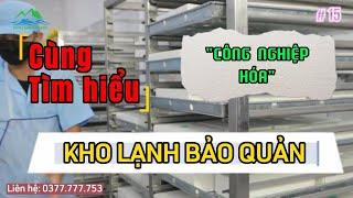 Kho lạnh bảo quản là thiết bị thiết yếu trong công nghiệp chế biến sản xuất -#15 Kiến thức điện lạnh