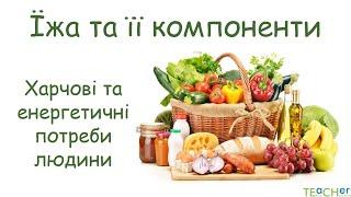 Їжа та її компоненти. Харчові та енергетичні потреби людини.