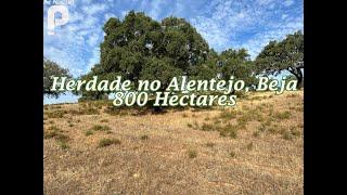 Herdade no concelho de Moura, Beja | Alentejo | 800 Hectares