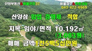 단양부동산촌땅촌집/ 산양삼 임업 경영체 하실분 적합  지목 임야 면적 10,192㎡ 약3,083평  도로 전기접 ,저렴하게 나왔습니다