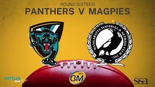 R16 2023 - Lavington Panthers v Wangaratta Magpies