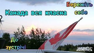 ПОДОРОЖУЄМО ОКОЛИЦЯМИ ПАТРІОТИЧНОГО ГАРНОГО ТОРОНТО .CANADA @immigrant UA /232