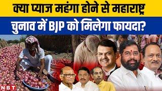 Onion Price Hike: क्या प्याज महंगी होने से BJP को Maharashtra Elections 2024 में मिलेगा फायदा? | NBT