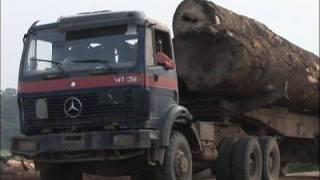 42'000 Signatures for the Congo Rainforest
