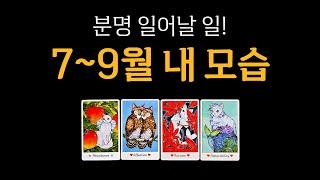 [타로] 7~9월 내 모습, 일어날 좋은 일