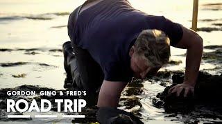 Gordon Searches For Clams | Gordon, Gino and Fred: Road Trip