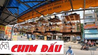 Shop Chim Cảnh CHÀO MÀO ĐẤU Siêu Khủng Quận 9 Sài Gòn