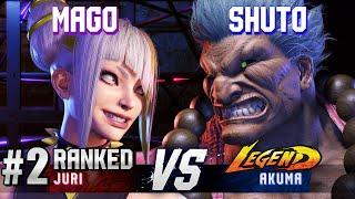 SF6 ▰ MAGO (#2 Ranked Juri) vs SHUTO (Akuma) ▰ High Level Gameplay