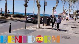 Benidorm INFO WALK!️"King Avenue" To PONIENTE BEACH!Corona del Mar, Shops & Bars!️ #benidorm