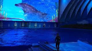 Путешествуем с Ириной N7. Владивосток. Океанариум. Irina's Russia #7. Vladivostok. Oceanarium.