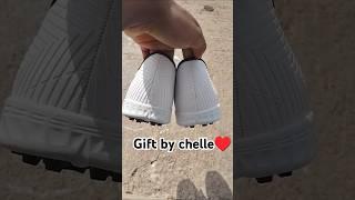 newshoses#Sisterslove#gift#shose#shorts #vairalshort#trending#minivlog