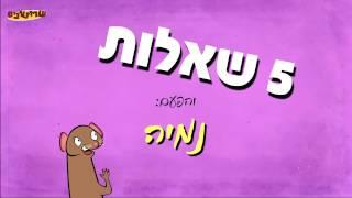 5 שאלות - נמיה