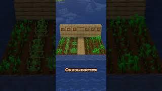 Интересные Майнкрафт Факты от Ивуна. Часть 12. Садовая Мудрость