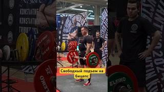 Подъем на бицепс ( свободный) #махалов #бицепс #арм #руки #сакович #wrpf