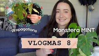 Potting Up Monstera Mint Props  | Vlogmas Day 8