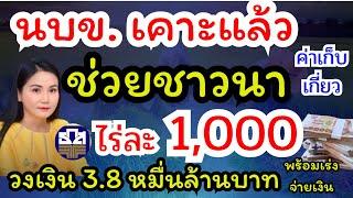 นบข.‘ เคาะแจกชาวนาไร่ละ 1,000 ครัวเรือนไม่เกิน 10 ไร่ วงเงิน 3.8 หมื่นล้าน #ไร่ละ1000