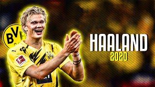 Erling Haaland 2020/21 ● Goal Beast ● Amazing Goals & Skills ᴴᴰ