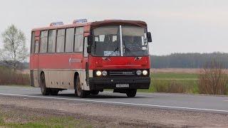 Ikarus 250.59 bus, route 261 Velikiy Novgorod — Staraya Russa