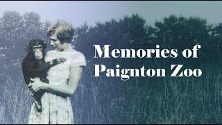 Memories of Paignton Zoo